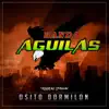 Banda Aguilas - Osito Dormilón - Single